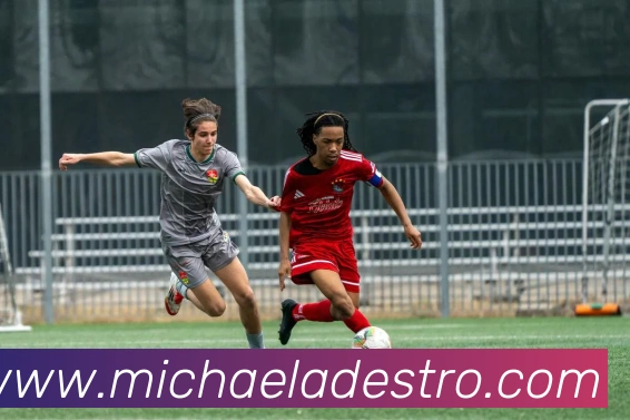 用户互动社区